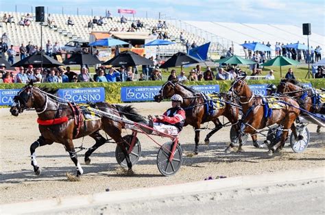 australian harness racing odds|Harness Racing Betting Odds .